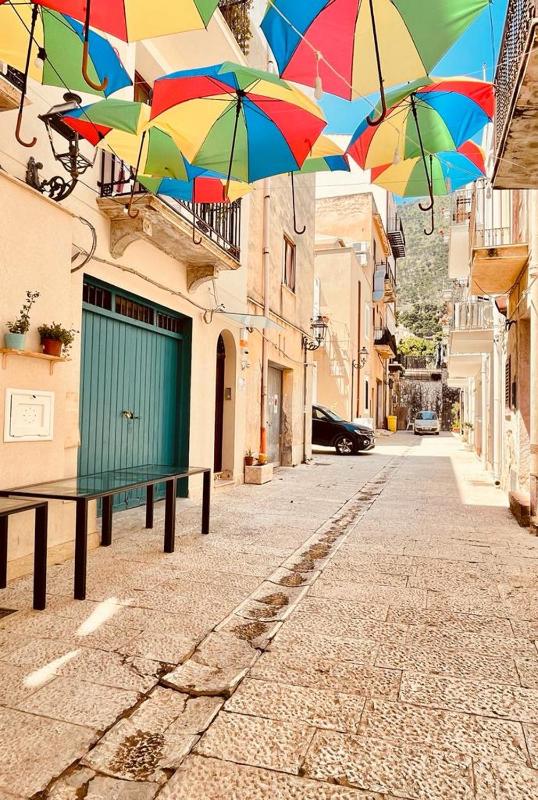 Castellammare del Golfo macchia mediterranea - image 16