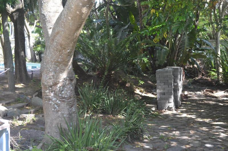 Cycad Lodge - image 7