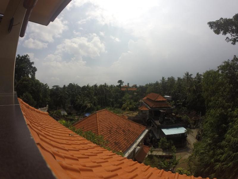 Ubud Wins Bungalow - image 12