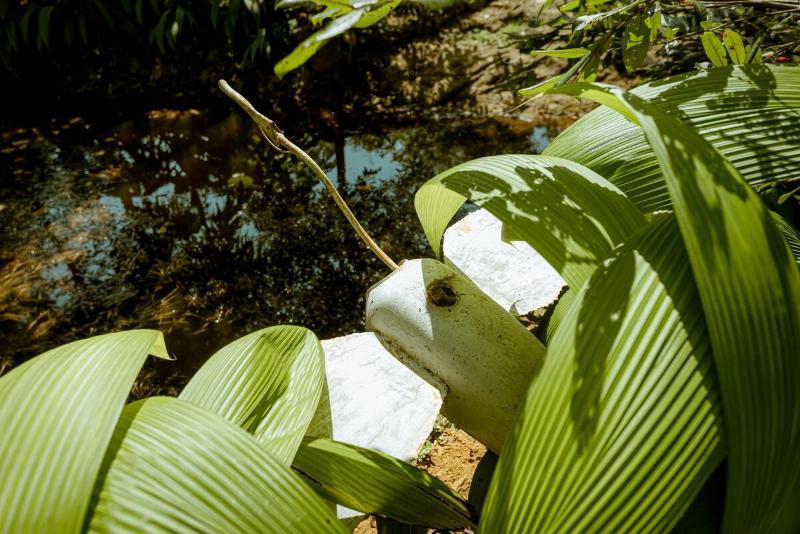 Clove Bentota - image 10