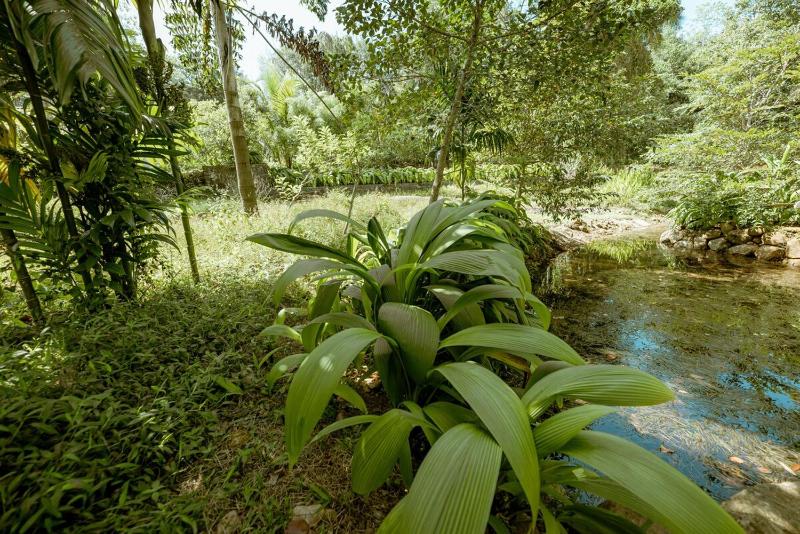 Clove Bentota - image 22