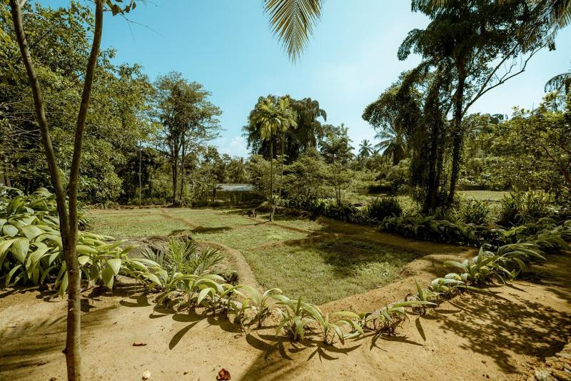 Clove Bentota - image 47