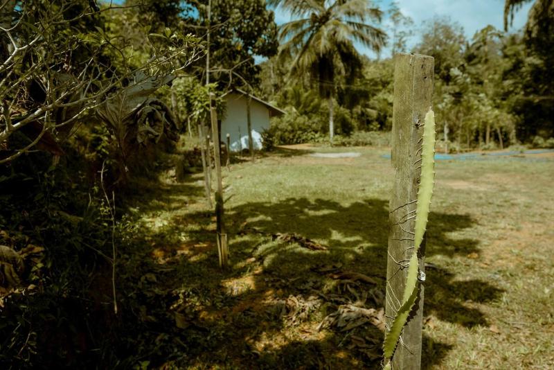 Clove Bentota - image 33