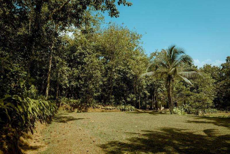 Clove Bentota - image 27