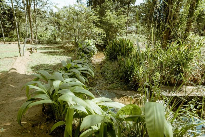 Clove Bentota - image 6