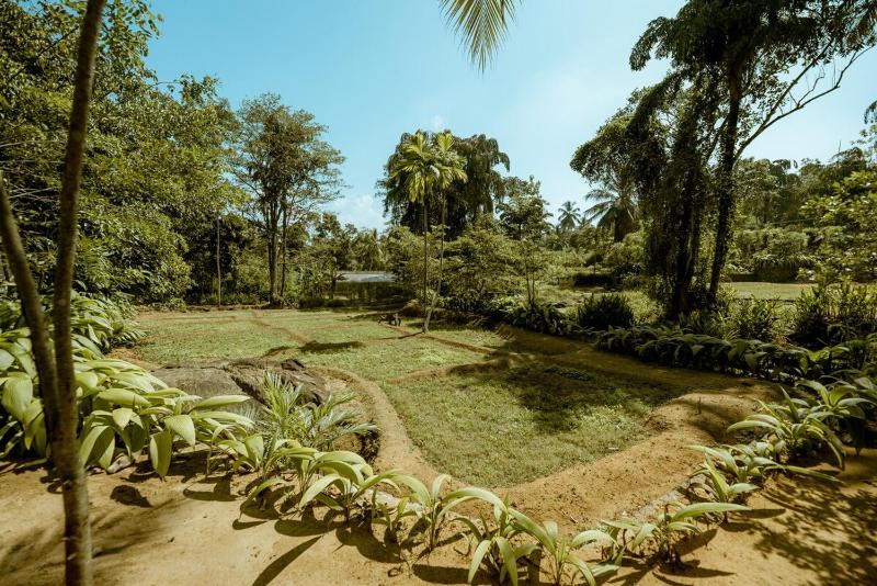 Clove Bentota - image 11