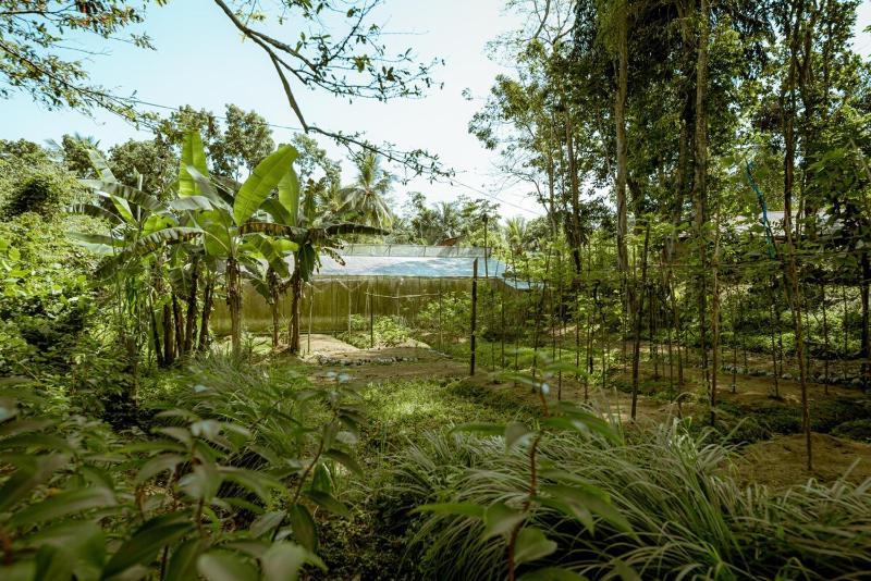 Clove Bentota - image 25