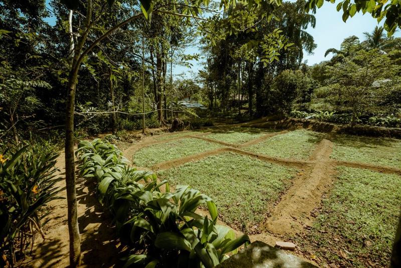 Clove Bentota - image 34