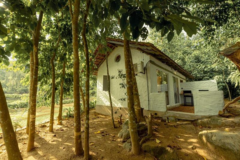 Clove Bentota - image 18