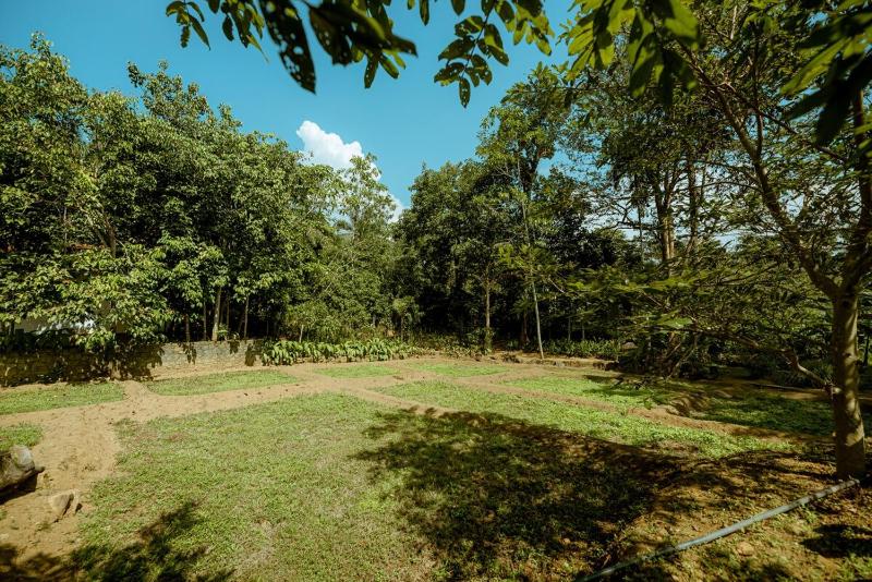 Clove Bentota - image 9