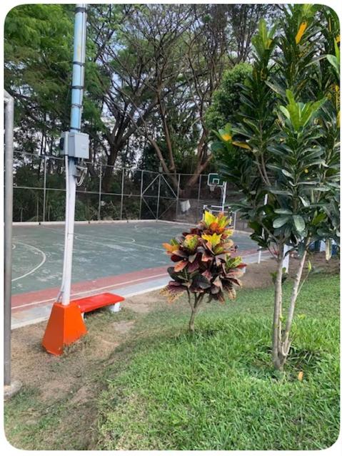 May Apartamento - image 9