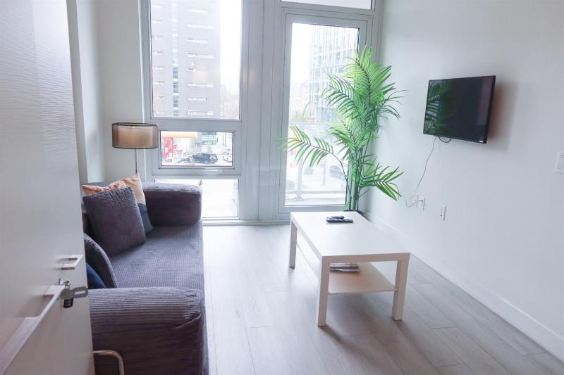 Olympic Village-Sleeps 5-AC Mtn & CityViews - image 6