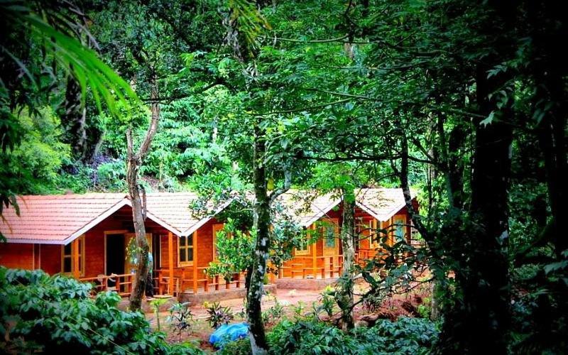 Ganesh estate homestay - image 7