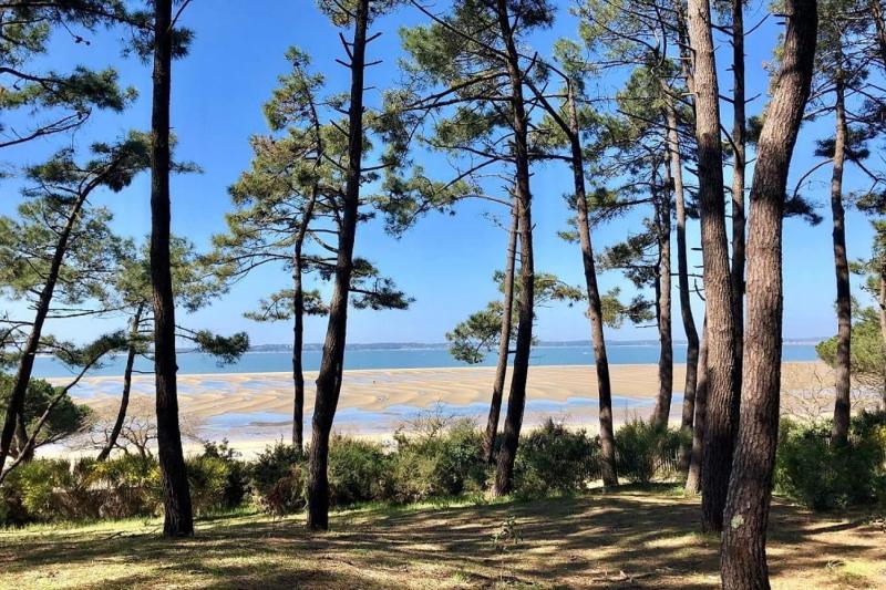 Apartment with balcony in the heart of Arcachon - image 6