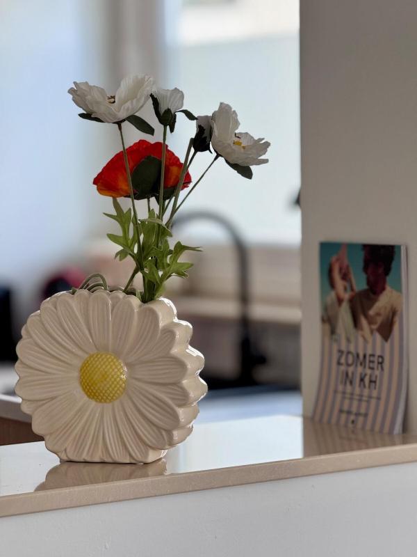 Sun Valley: Central Seaside Apartment - image 10
