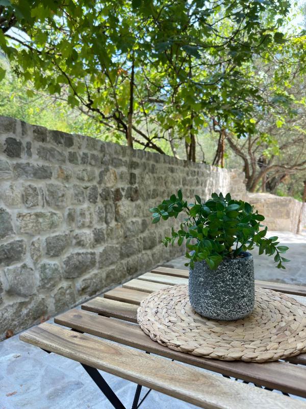 Wild Beauty Premium Apartment - image 5