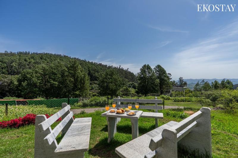 EKOSTAY Luxe - Under The Pines - image 27