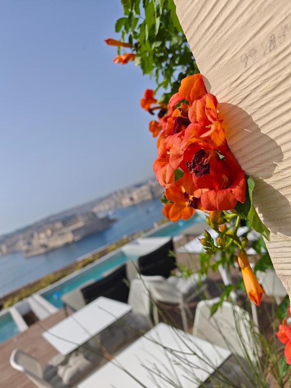 Ursulino Valletta - image 8