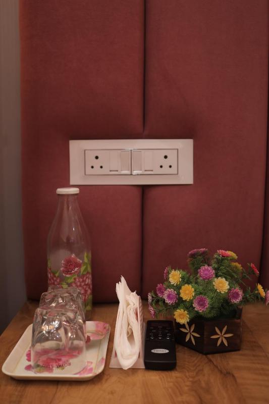 The Velorique Jaipur For Couples and Families - image 11