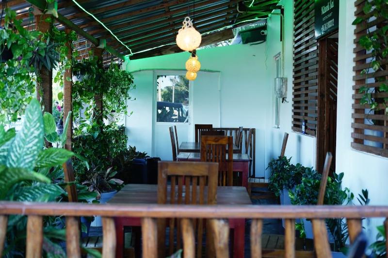 Coconut Leaf Shadow Guest - image 27
