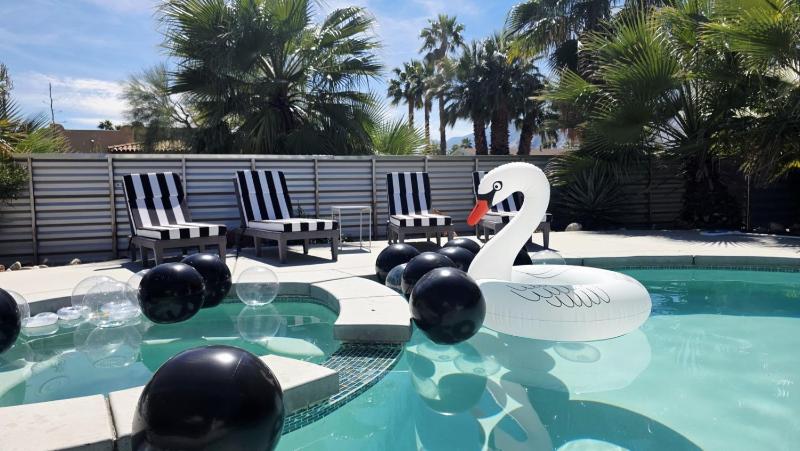 Dive into Desert Wonderland Pool Spa Fire Pit - image 40