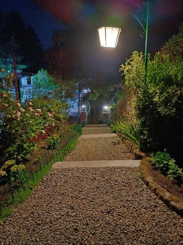 Rosastays Mallital Nainital - image 30
