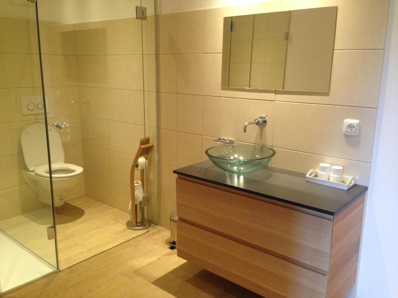 Superior Apartment image 1