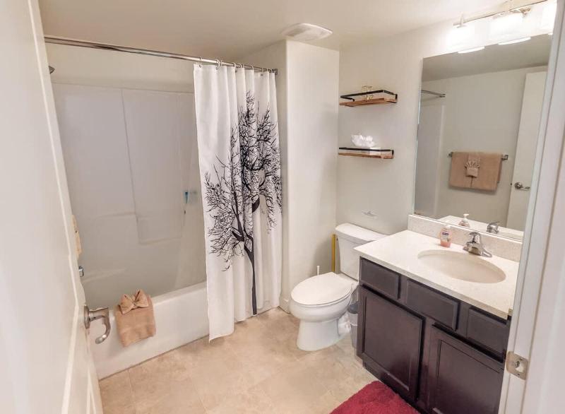 Red Cliff Condos #6i - image 9