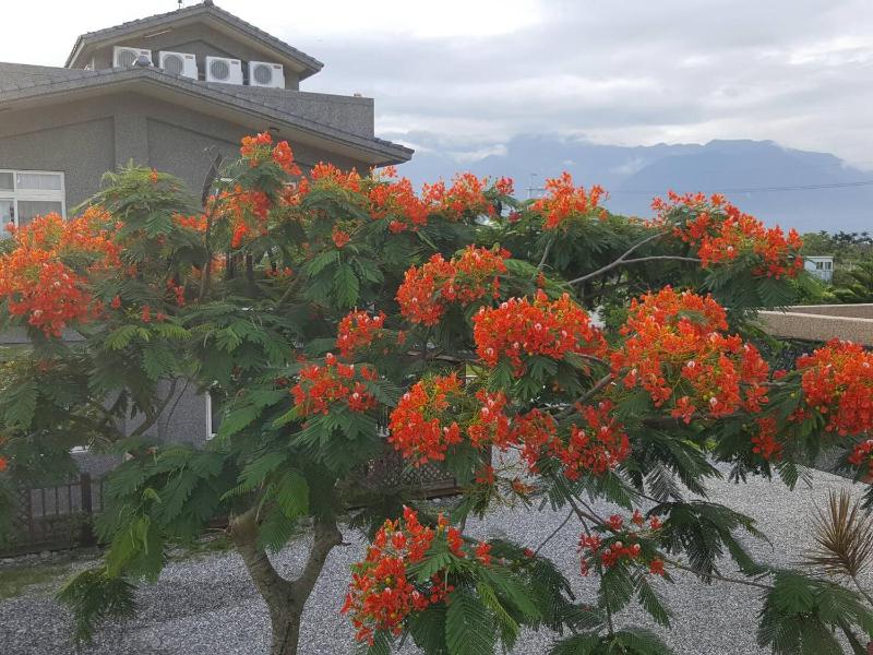 Shanhai B&B - image 4