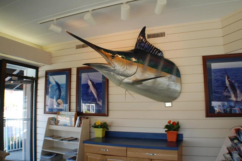 The Spinnaker - image 10