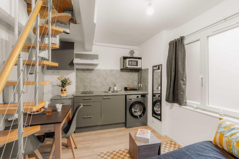2P duplex studio in the heart of Lyon - image 2