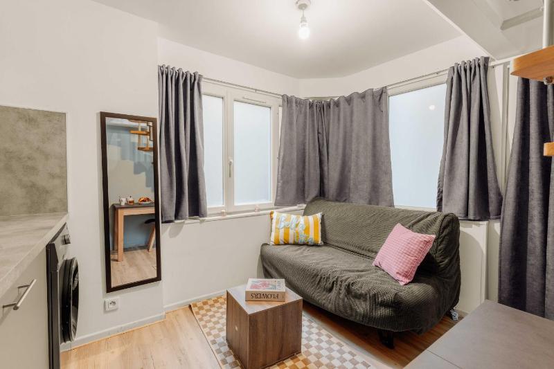 2P duplex studio in the heart of Lyon - image 1