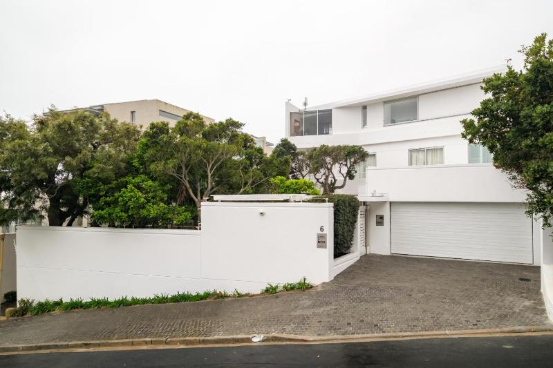 Silvertree - image 7