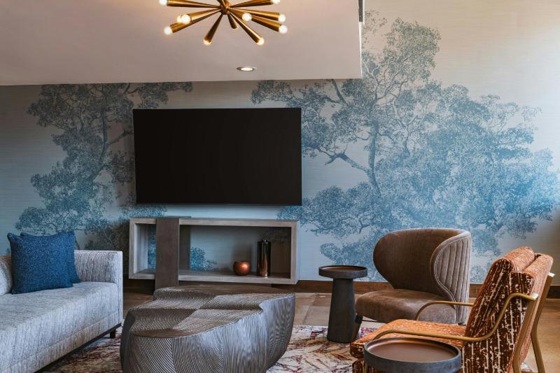 TownePlace Suites by Marriott Dallas Downtown - image 40
