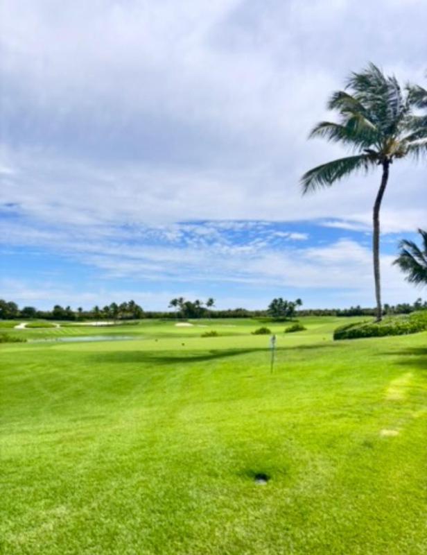 Luxury Hacienda Residence Punta Cana Resort Golf Beach - image 6