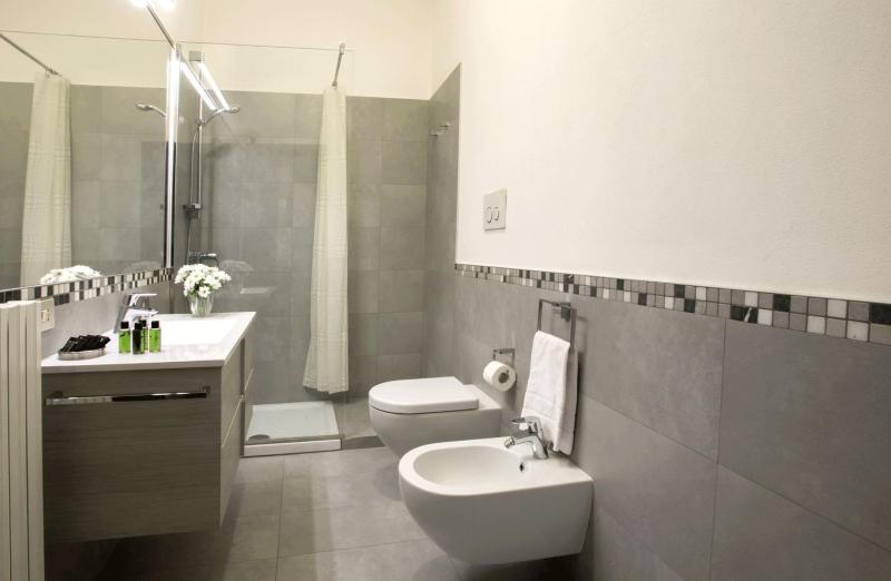 One-Bedroom Apartment image 4