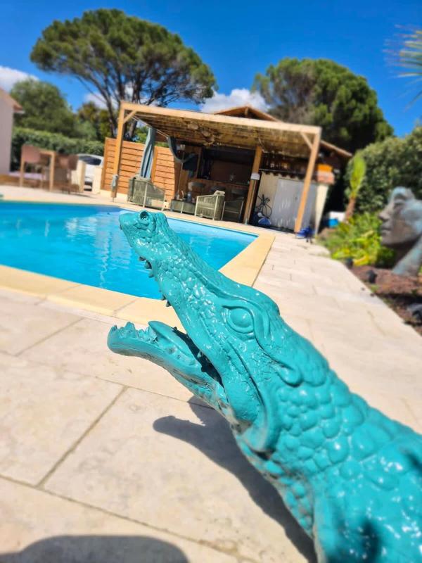 Villa piscine & pool house Clim - image 22