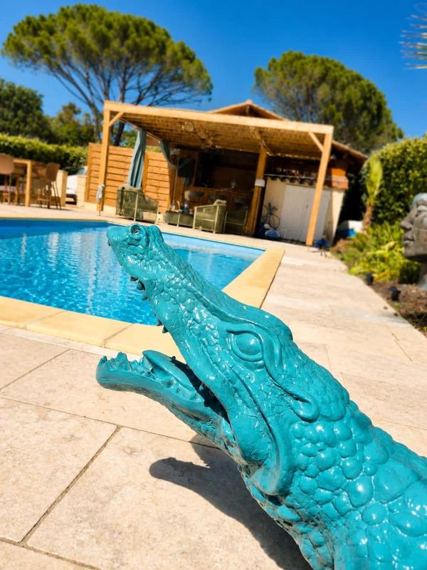 Villa piscine & pool house Clim - image 2
