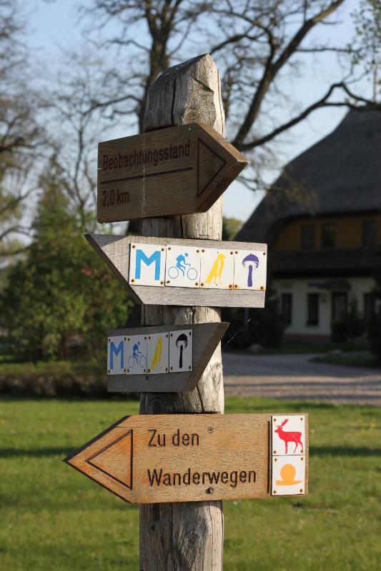 Reetdachhotel - Residenz am Ostufer - image 30
