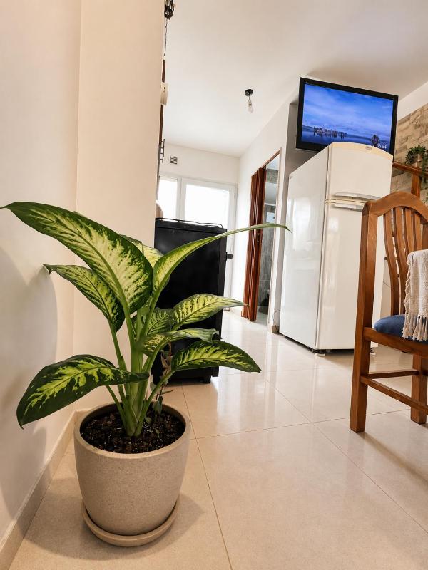 Duplex Independencia - image 19