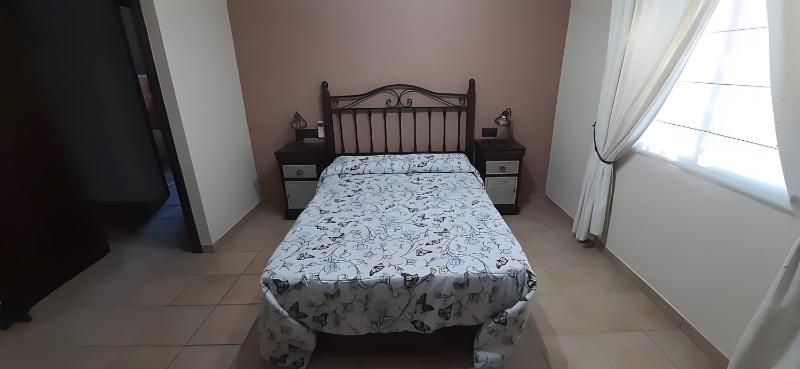 Casa Veterinario - image 19