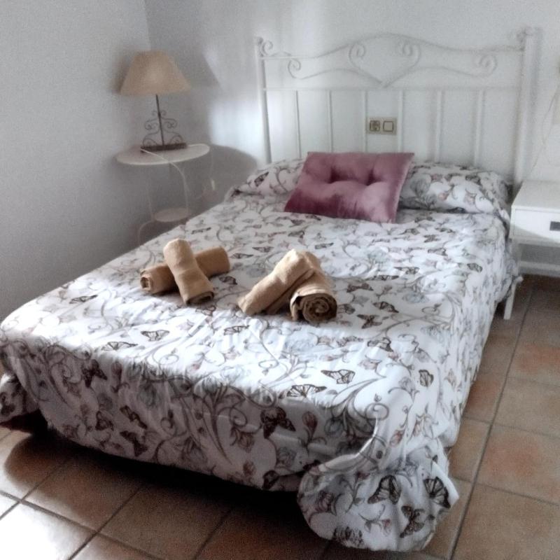 Casa Veterinario - image 27