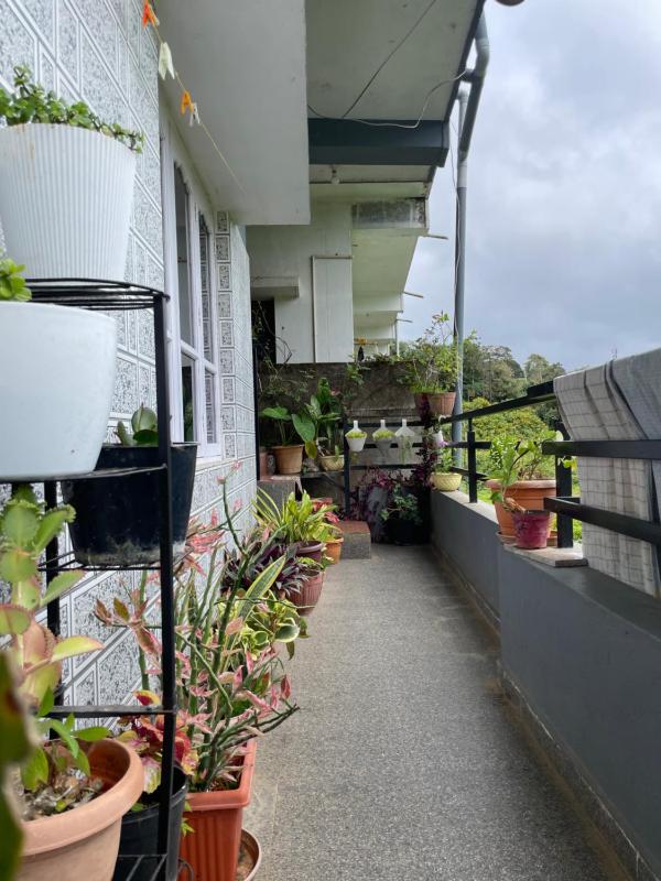Coorg Mists Homestay - image 15