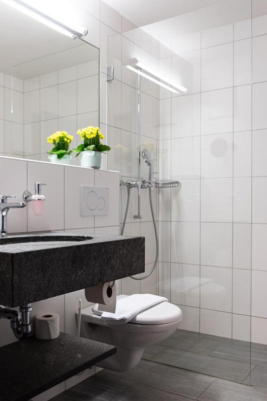 Hotel Restaurant Alte Brauerei - image 25