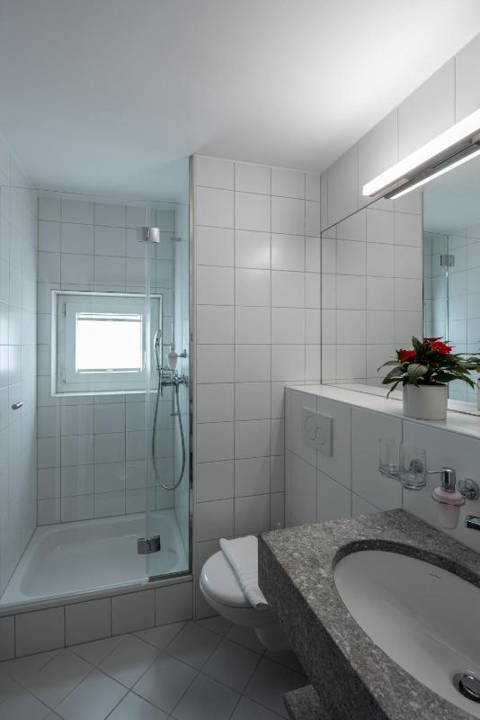Hotel Restaurant Alte Brauerei - image 24
