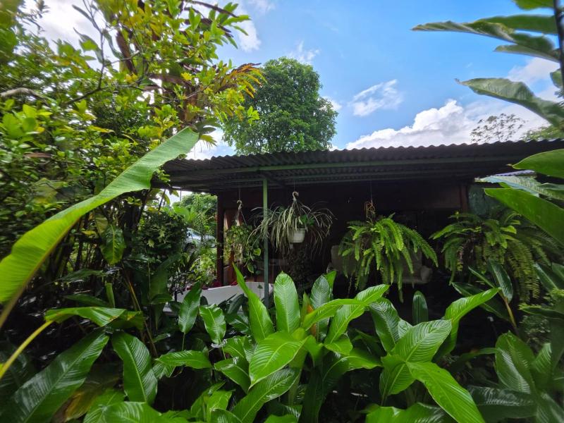 Agua Azul Nature-House - image 6