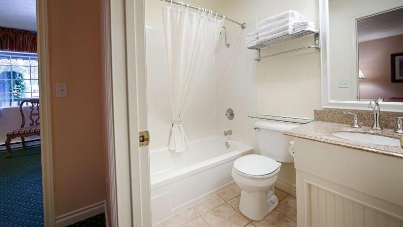 One-Bedroom King Suite with Sofa Bed and Kitchenette image 2