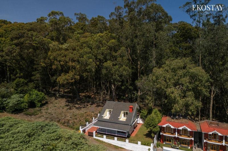 EKOSTAY - Whispering Pines - image 7