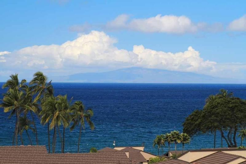 WAILEA ELUA #2010 - image 40
