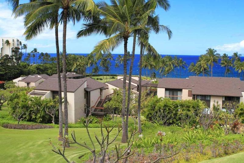 WAILEA ELUA #2010 - image 6